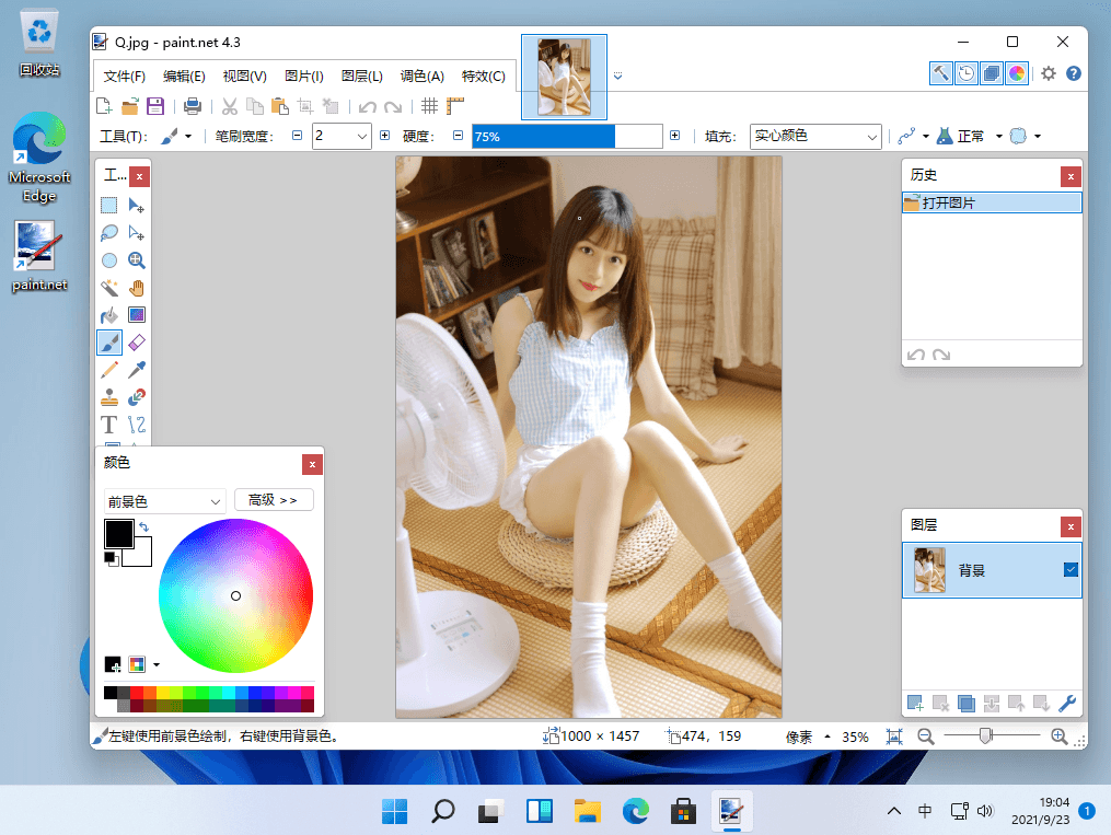 Paint.NET v4.3.0 免费绘画及图像照片处理软件