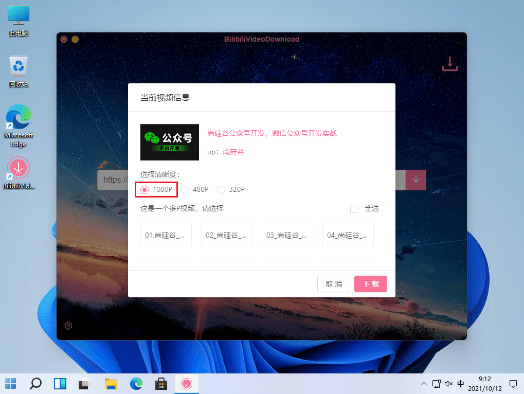 BilibiliVideoDownload v3.1.5 B站视频下载工具