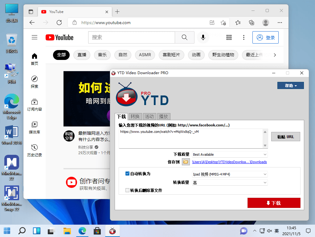 YTD Video Downloader Pro 5.9.18.10 中文便携版